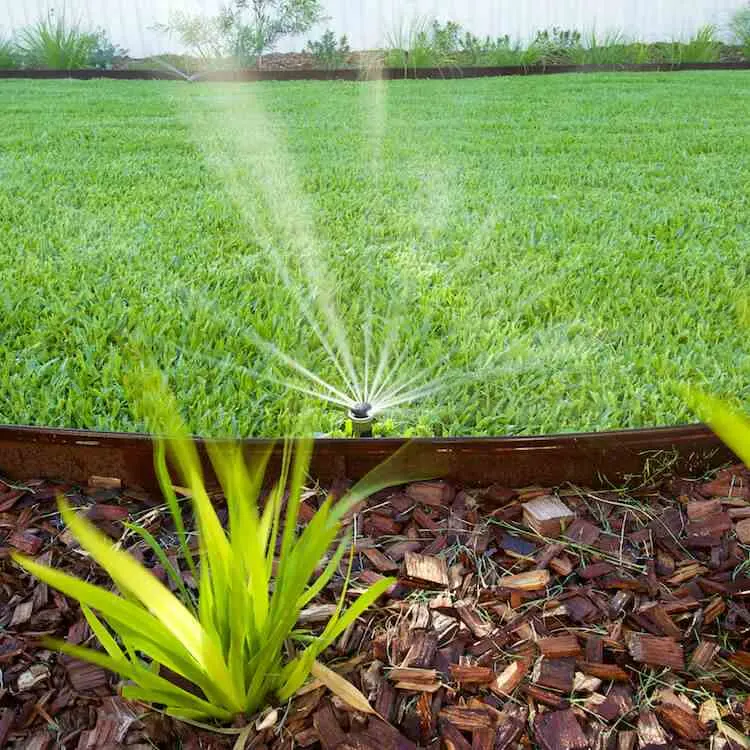 Sprinkler watering a healthy lawn